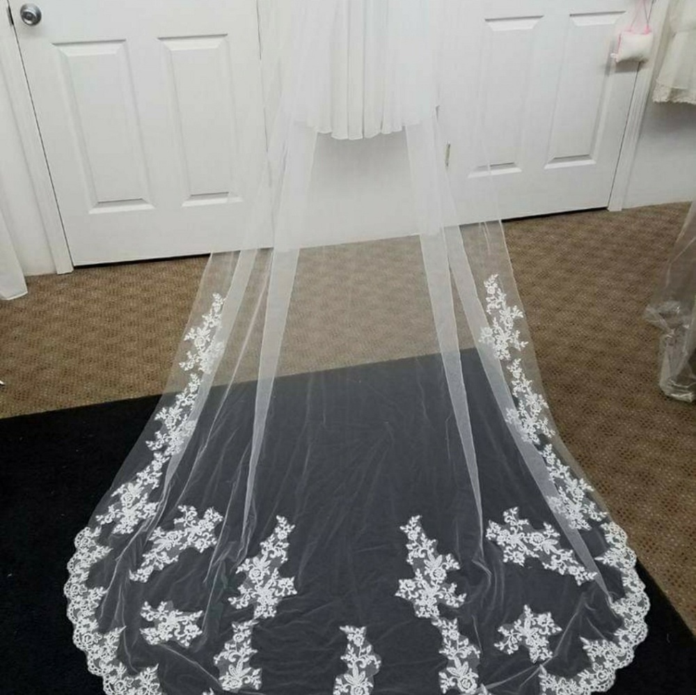 VEILS - Picture 4 of 4